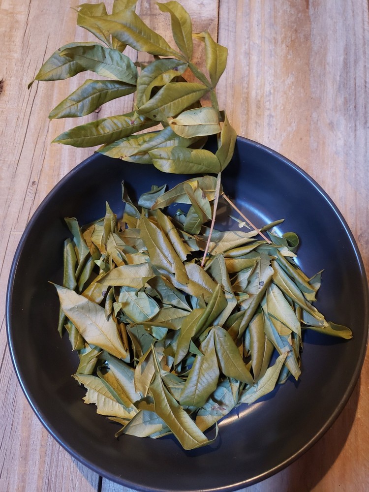 Wild Organic Native Winged Sumac Dried Leaves