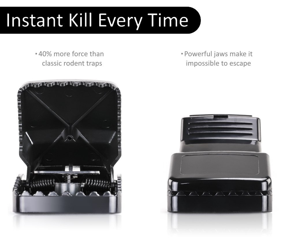 Large Powerful Rat Traps (12 Pack) - Kills Instantly with Powerful Steel Spring gallery