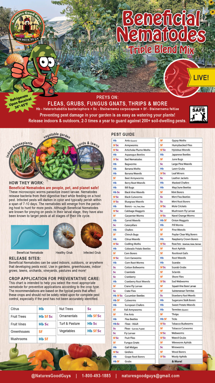 Beneficial Nematodes Triple Blend HB+SC+SF Targets 200+ Soil Pests gallery