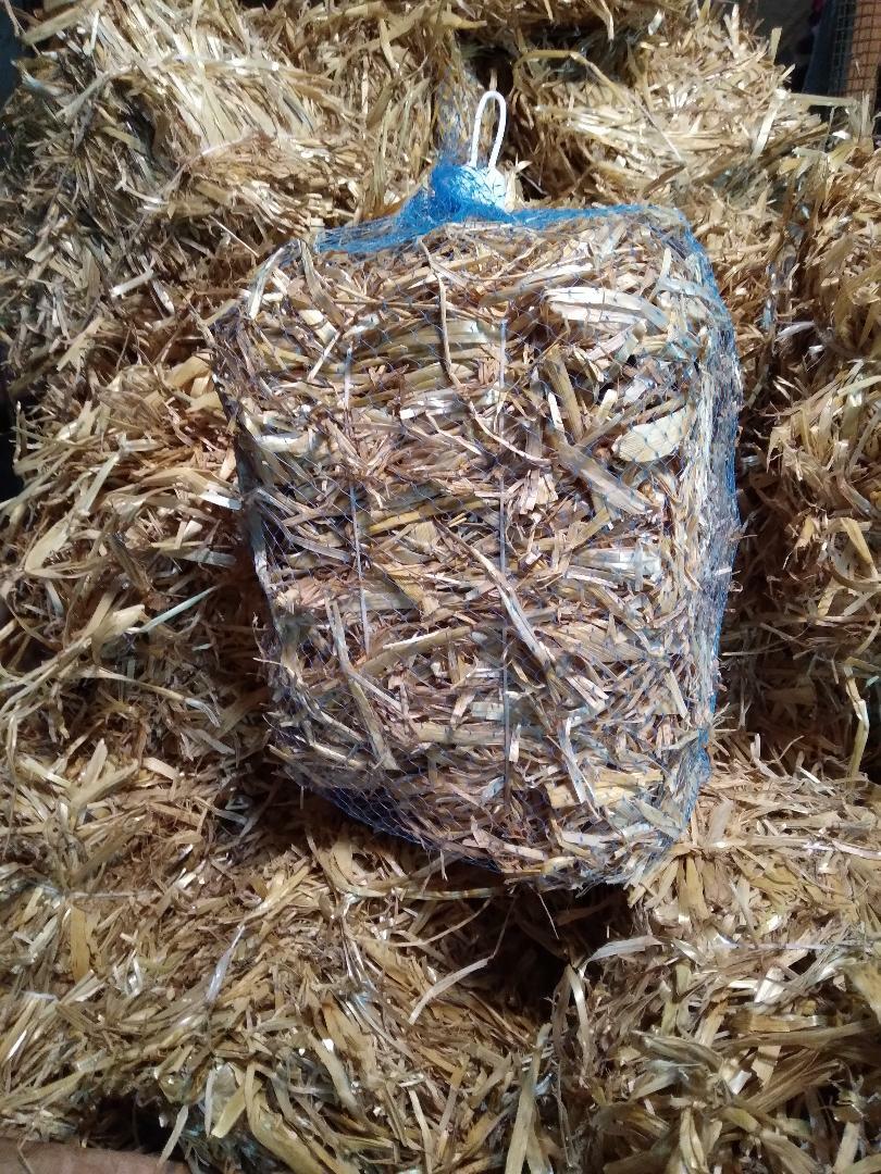 1 Certified ORGANIC Mini Barley Straw Bale - Treats 2000-3000 gallons - 16 oz gallery
