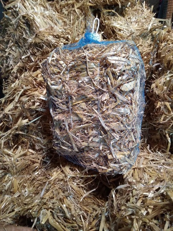 1 Certified ORGANIC Mini Barley Straw Bale - Treats 2000-3000 gallons - 16 oz gallery