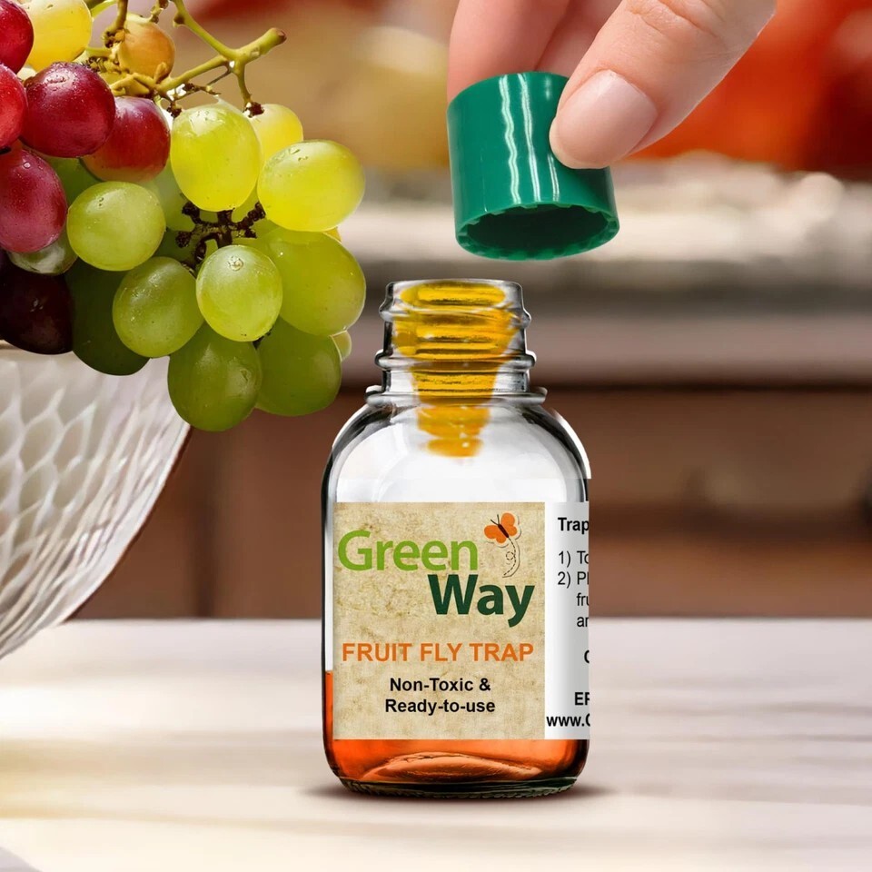 GreenWay Fruit Fly Trap Non-Toxic, Ready-to-Use, Long-Lasting gallery