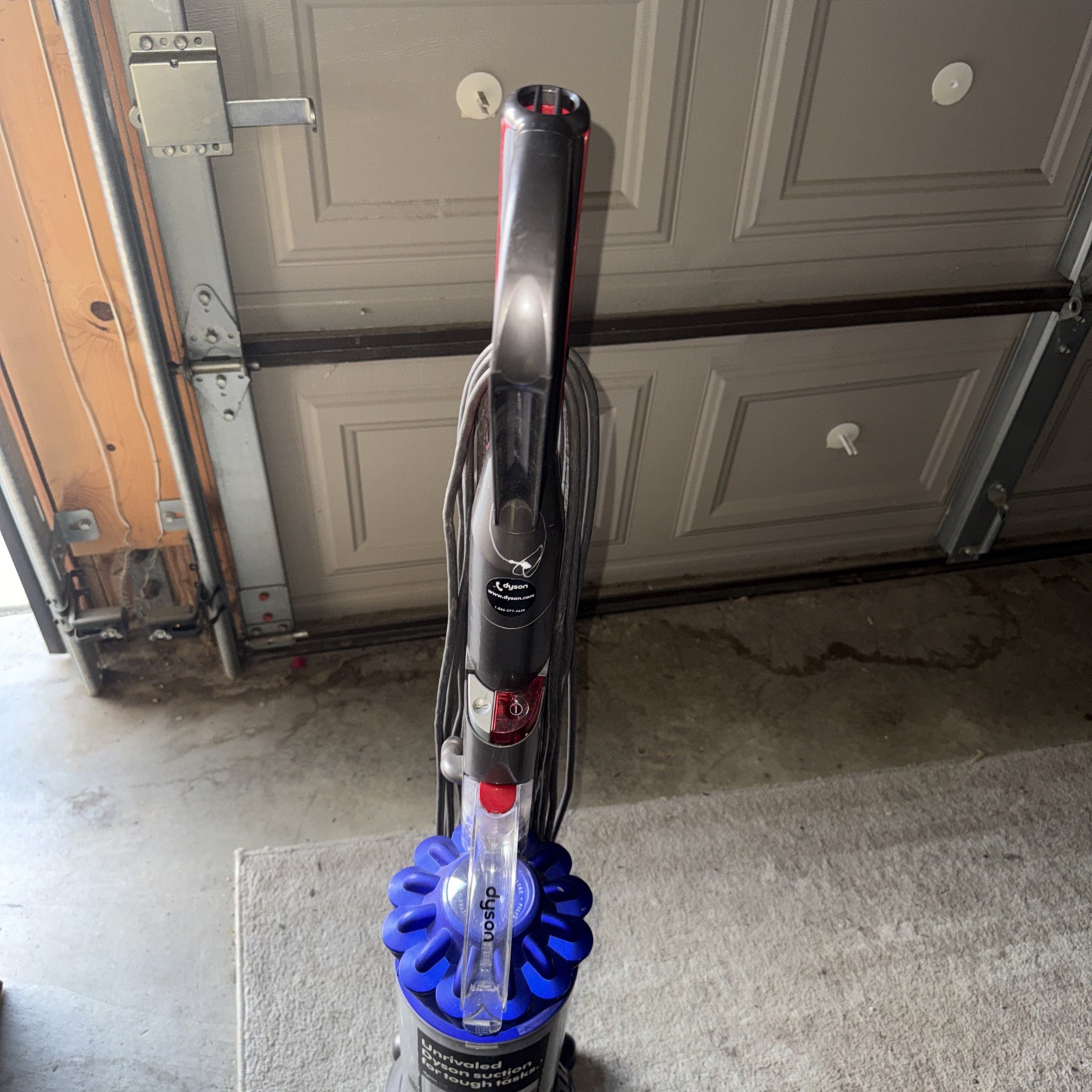 Dyson Ball Animal 2 Origin Upright Vacuum (Used-Very Good) gallery