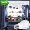 A15 5000K LED Refrigerator Light Bulb, 40W 2 Count Daylight White Use only 5W gallery