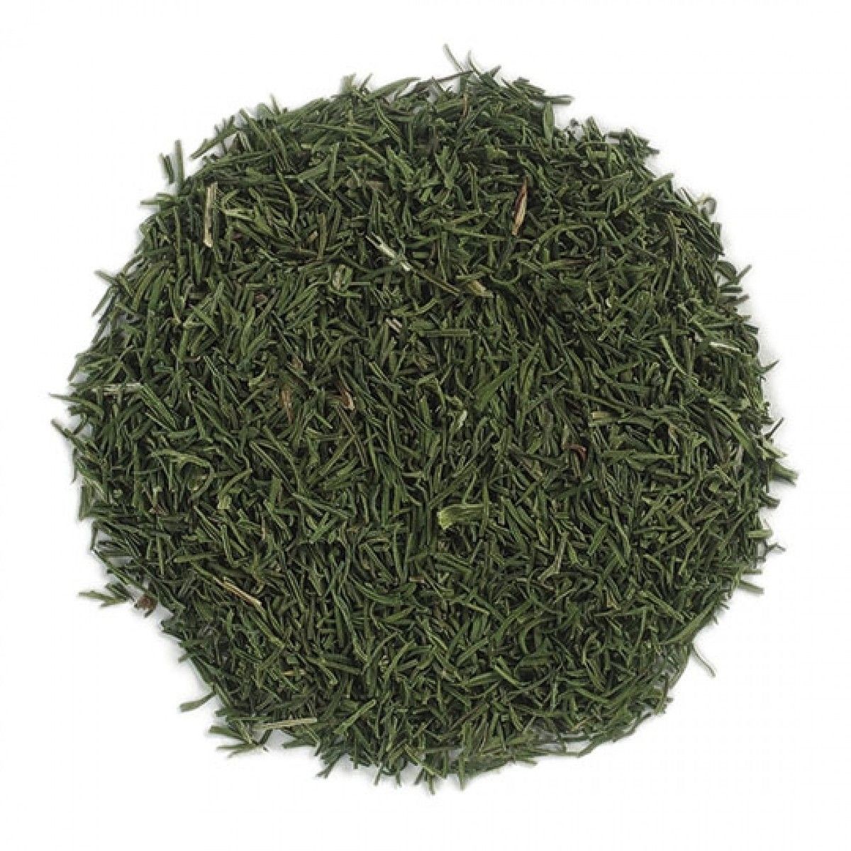 Dill Weed, Organic, 1 lb. gallery