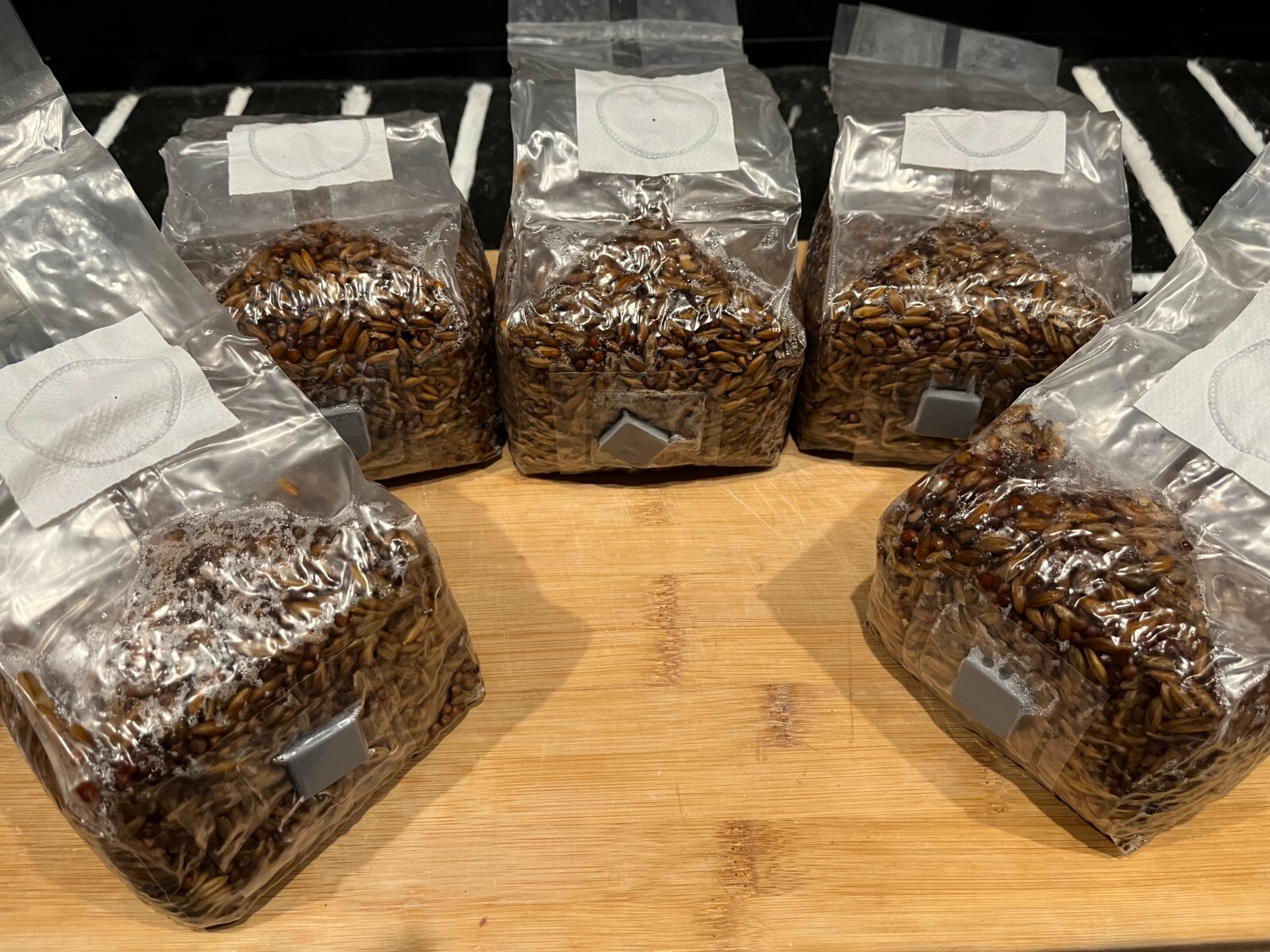 Premium 5-Pack 1lb Each Mushroom Spawn Bags | Sterilized Grain + Injection Port gallery