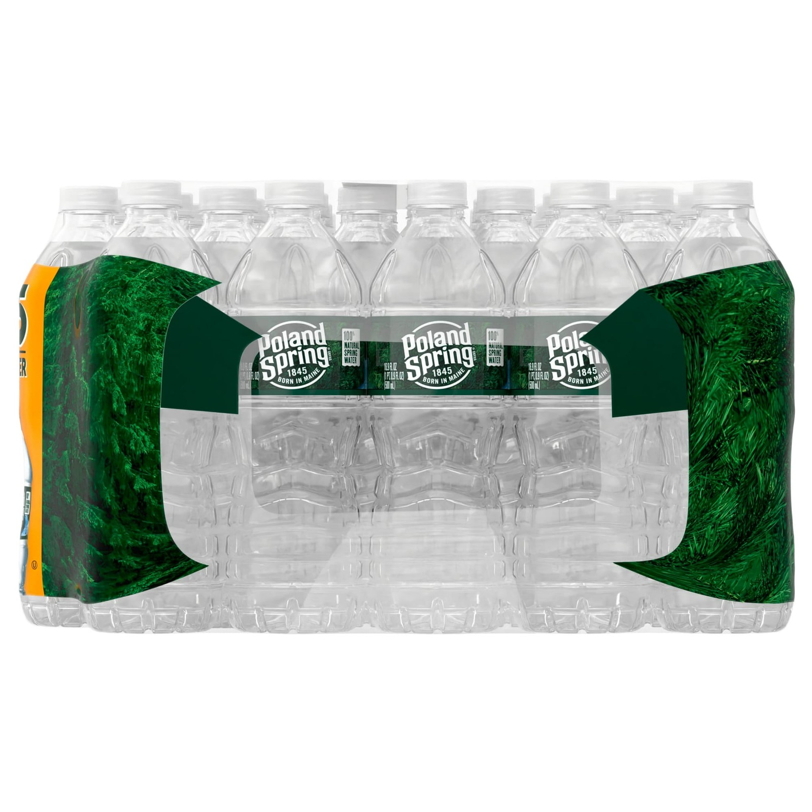 Poland Spring 100% Natural Spring Water, 16.9 Fl Oz (24 Pack) gallery