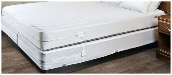 A+ BED BUG PROOF Encasement Protect Soft LUXURY Zipper ALL MATTRESSES or Pillow gallery