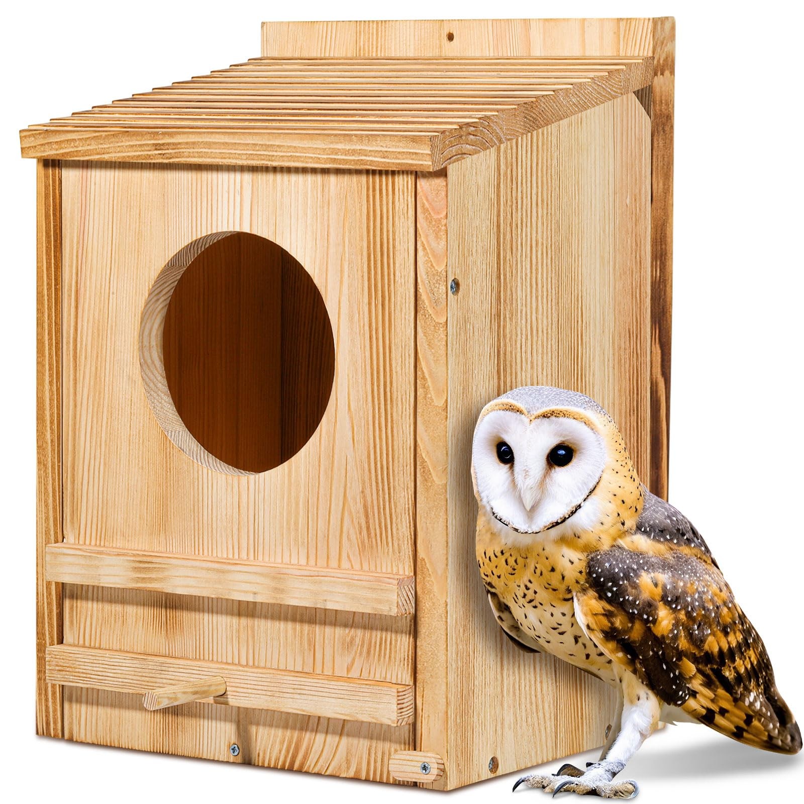 Barn Owl House, Owl Nesting Box for Outside, Wooden Screech Owls Nesting Box gallery