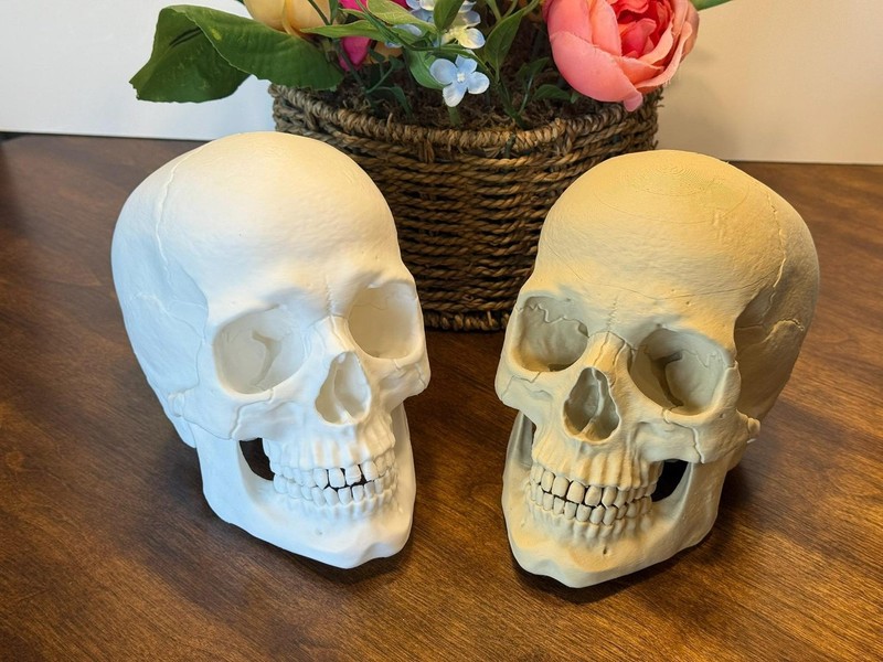 Life Size Human Skull Model | 3D Printed Anatomical Replica, Gothic Decor gallery