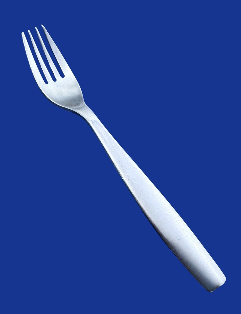 Gourmet Settings NON-STOP Stainless Flatware -- CHOICE