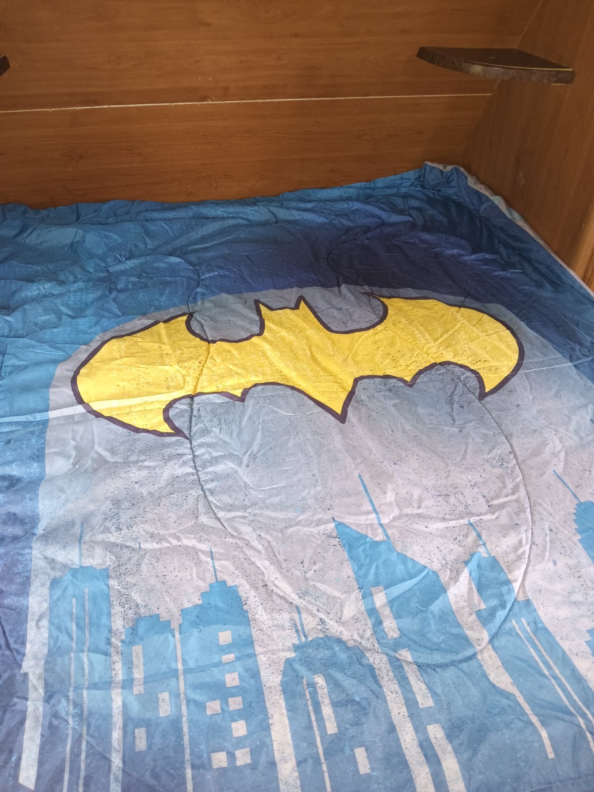 Light Blue Rare in Existence Not Many Found Batman Gotham City Blanket Good Cond gallery