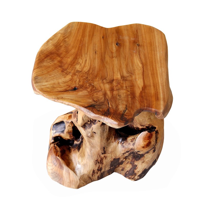 Rustic Cedar Roots Flower Stand Stool, Tree Stump Stool Side Table 19.5" H gallery