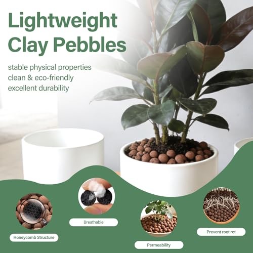 2 LB Expanded Clay Pebbles for Plants 4mm-16mm Clay Balls 100% Organic 2LB gallery