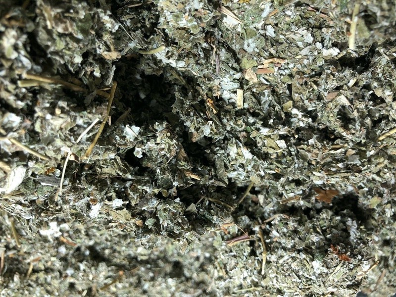 Red Raspberry Leaf ORGANIC cut Wild Crafted￼ rubus idaeus Bulk Herb 1 Lb pound gallery