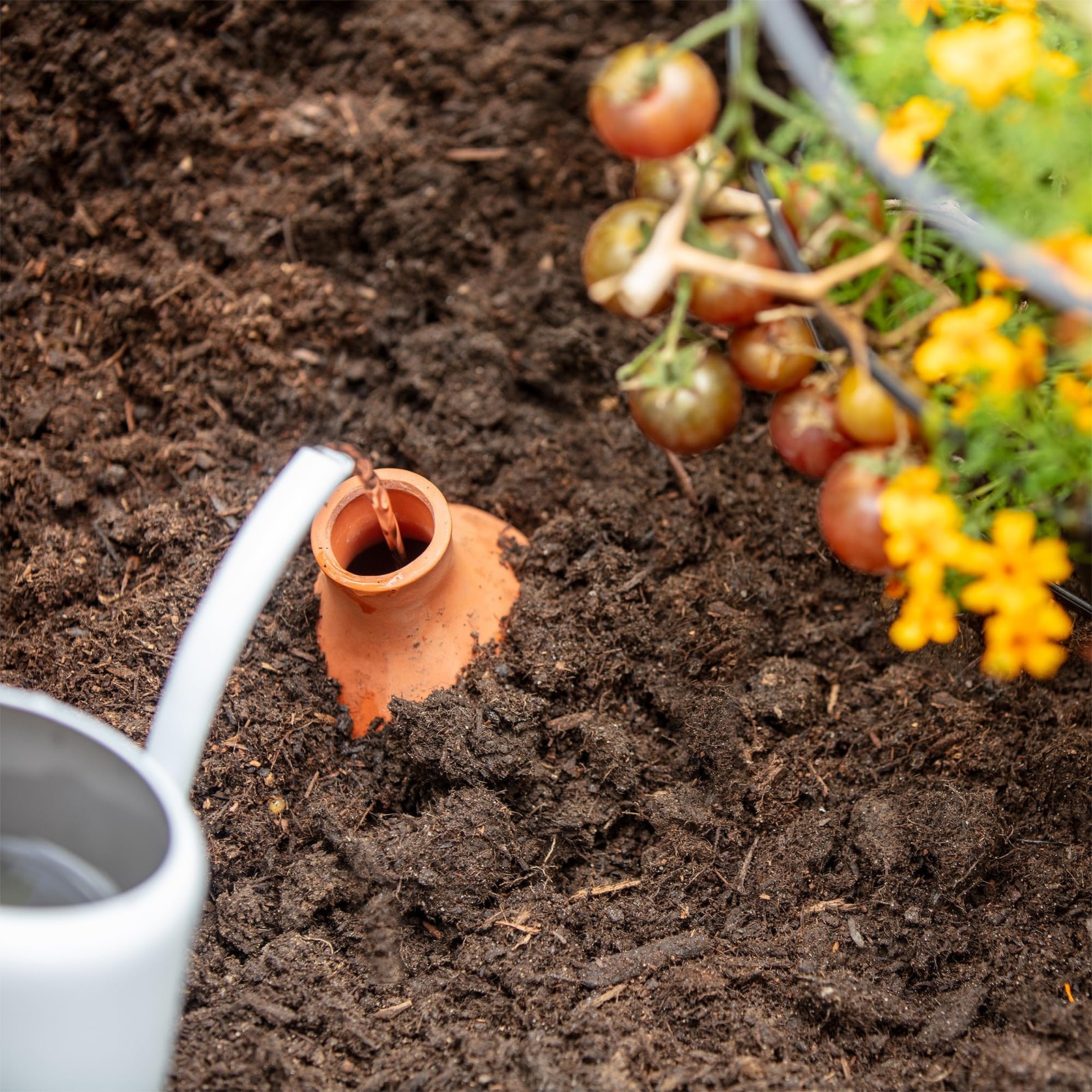 SelfWatering Terracotta Olla Pot, 700mL Provides 1 Week of Precision Watering gallery