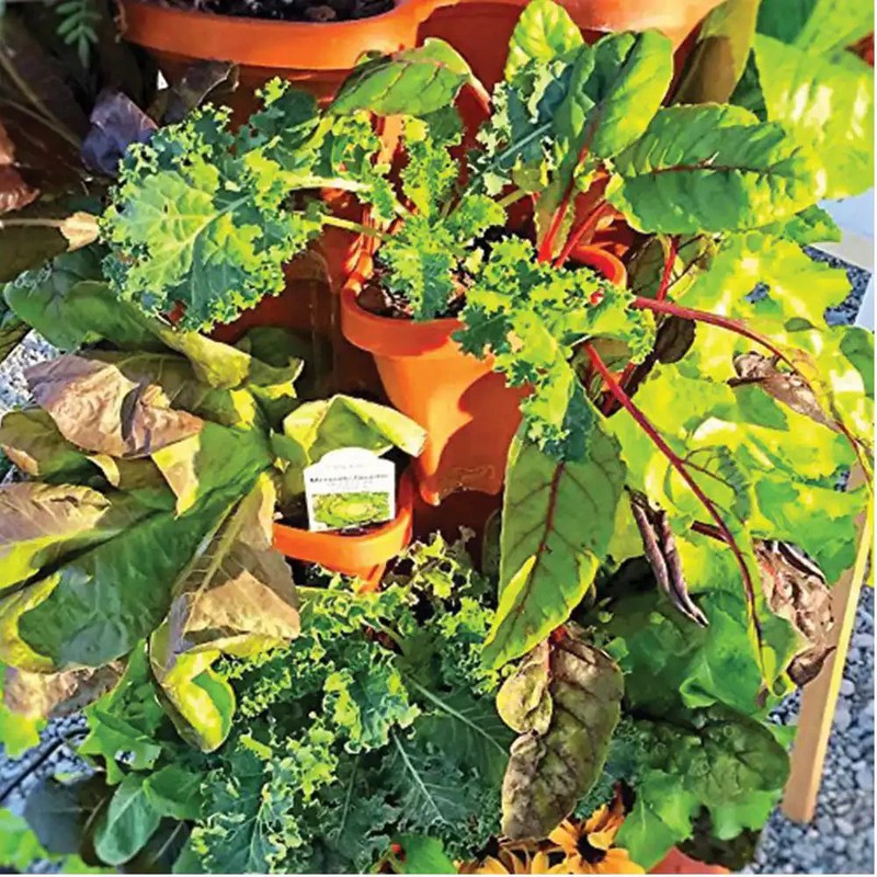 Mr. Stacky Vertical Planter Terracotta Plastic Stackable Self-Watering (5-Pack) gallery