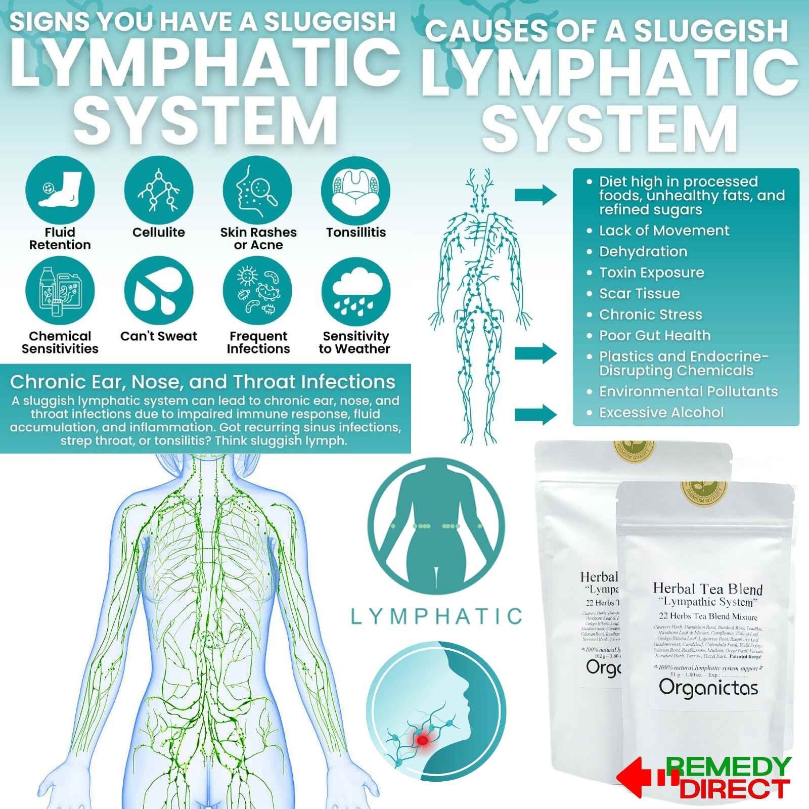 LYMPH SYSTEM TEA 22 Herb Recipe Formula Natural Lymphatic System Support Cleanse gallery