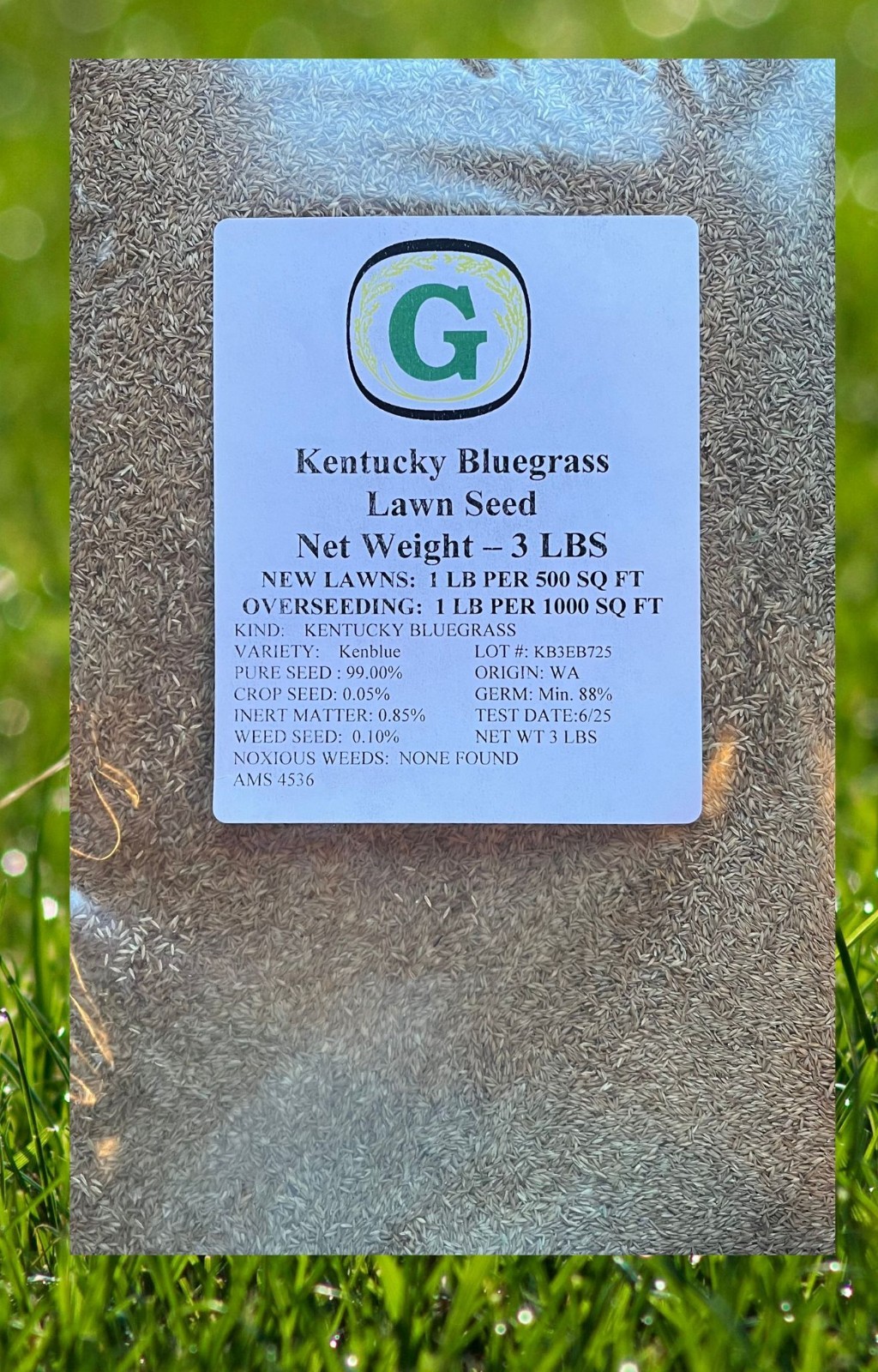 Kentucky Bluegrass Grass Seed - 9 lbs - Direct from Grower - Beautiful Lawn! gallery