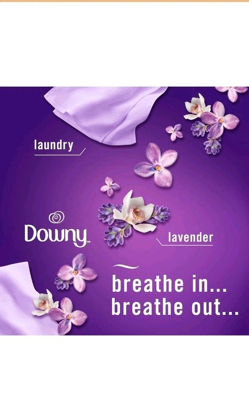 Febreze Plug Scent Booster Starter Kit AirFreshener Oil Diffuser 2 CALM REFILL gallery