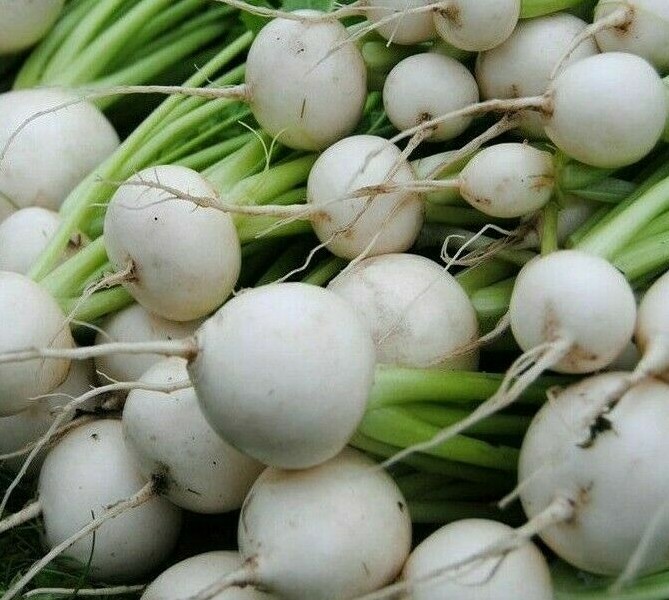WHITE EGG TURNIP SEEDS 1000+ VEGETABLE garden SOUP stews STIR FRY FREE SHIPPING gallery
