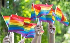 12 Pack Rainbow Pride Flag 4×6 Inch 4″ x 6″ Hand Flag On Stick LGBTQ LGBTQIA+