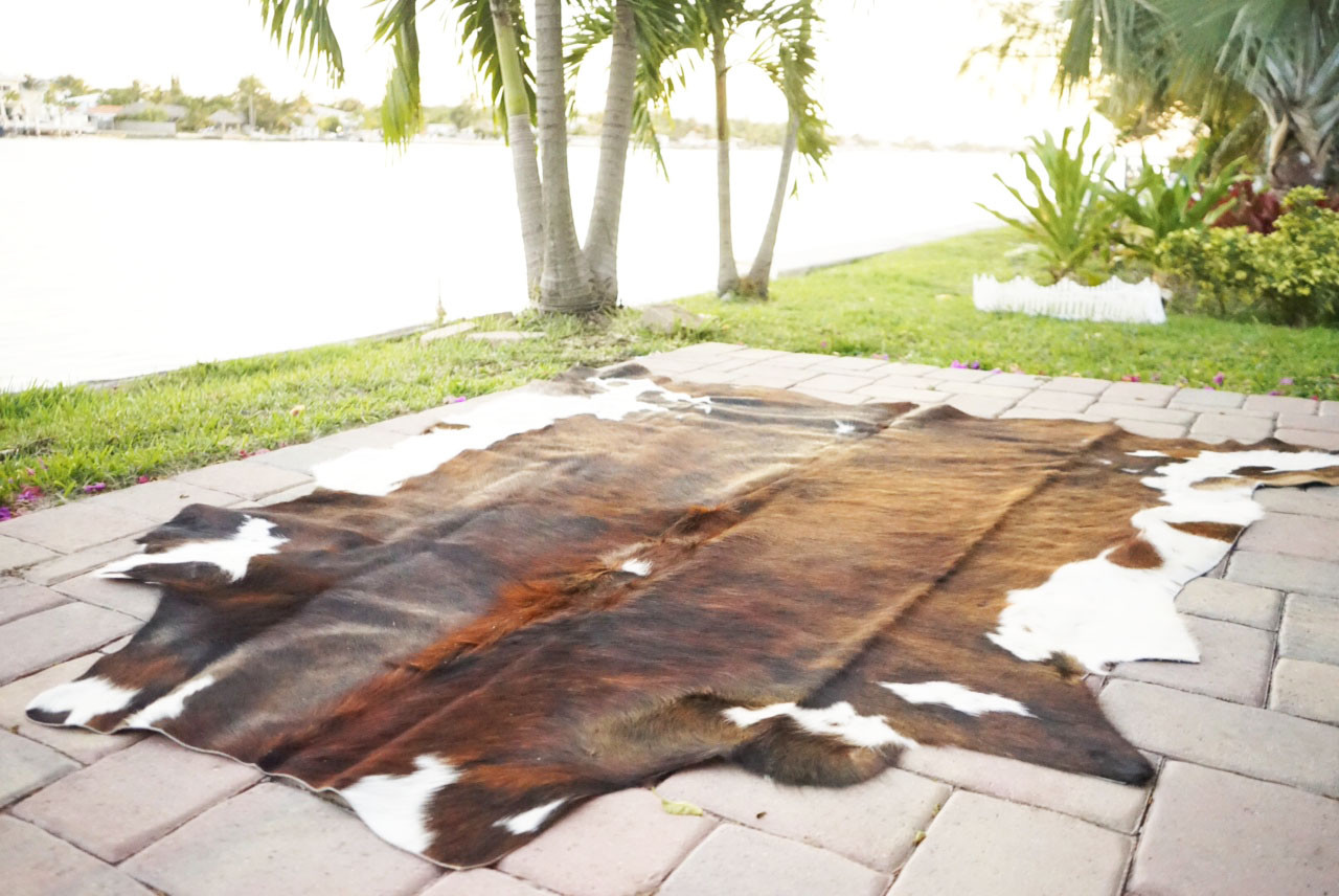 Brindle Rodeo Cowhide Rug Hair on authentic leather rug size approx 6x7 ft gallery
