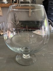 Large Snifter Terrarium
