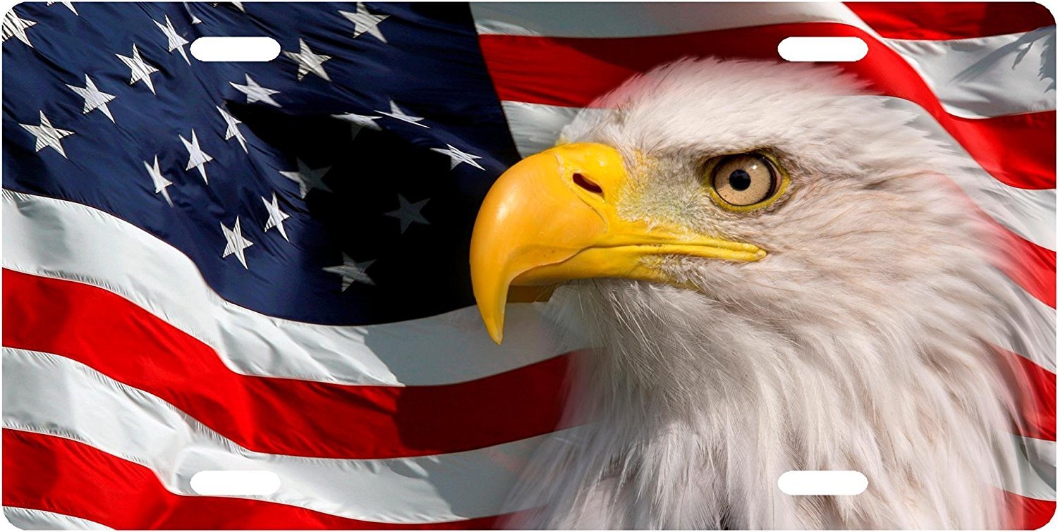 American Flag Eagle License Plate, Front License Plate, Vanity Tag gallery