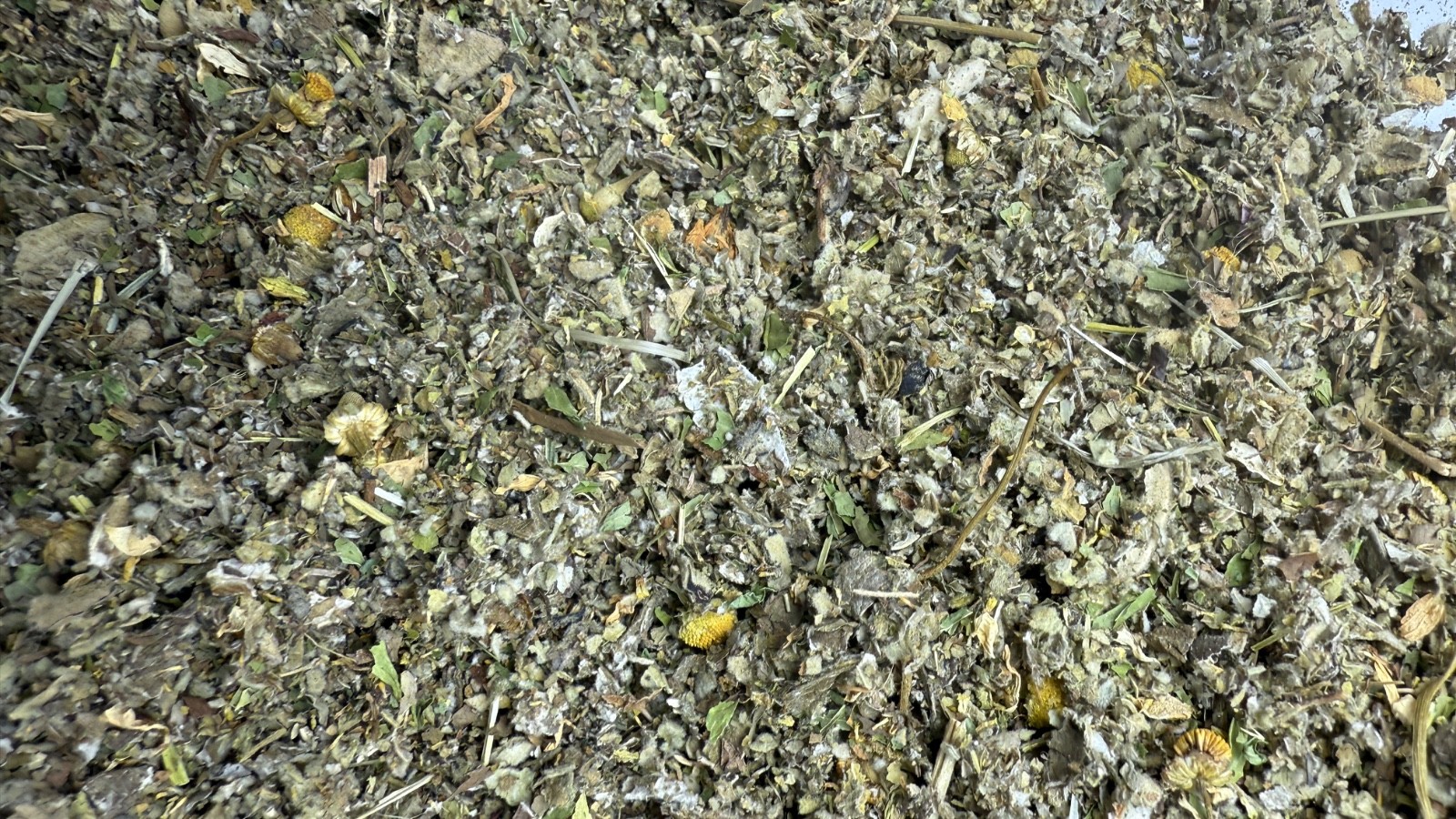 Marshmallow Raspberry Mullein Skullcap Spearmint Chamomile — No.91 Herbal Blend gallery