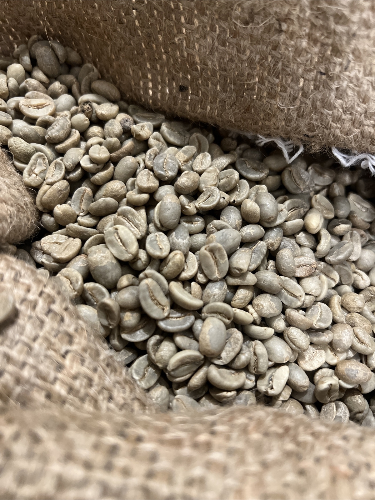 4 LBS UNROASTED GREEN COFFEE BEANS From Nicaragua gallery