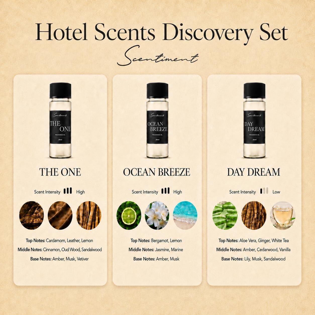 Scentiment Hotel Diffuser Oil Discovery Kit | Inspired by Five-Star & Luxury Hot gallery