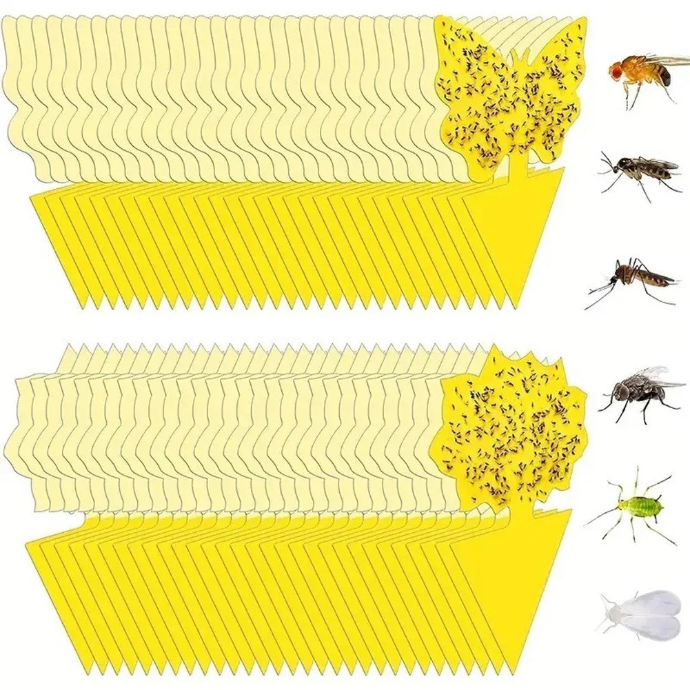 20 PCS Sticky Fruit Fly Traps, Fungus Gnat Killer Trap use Indoor Outdoor gallery