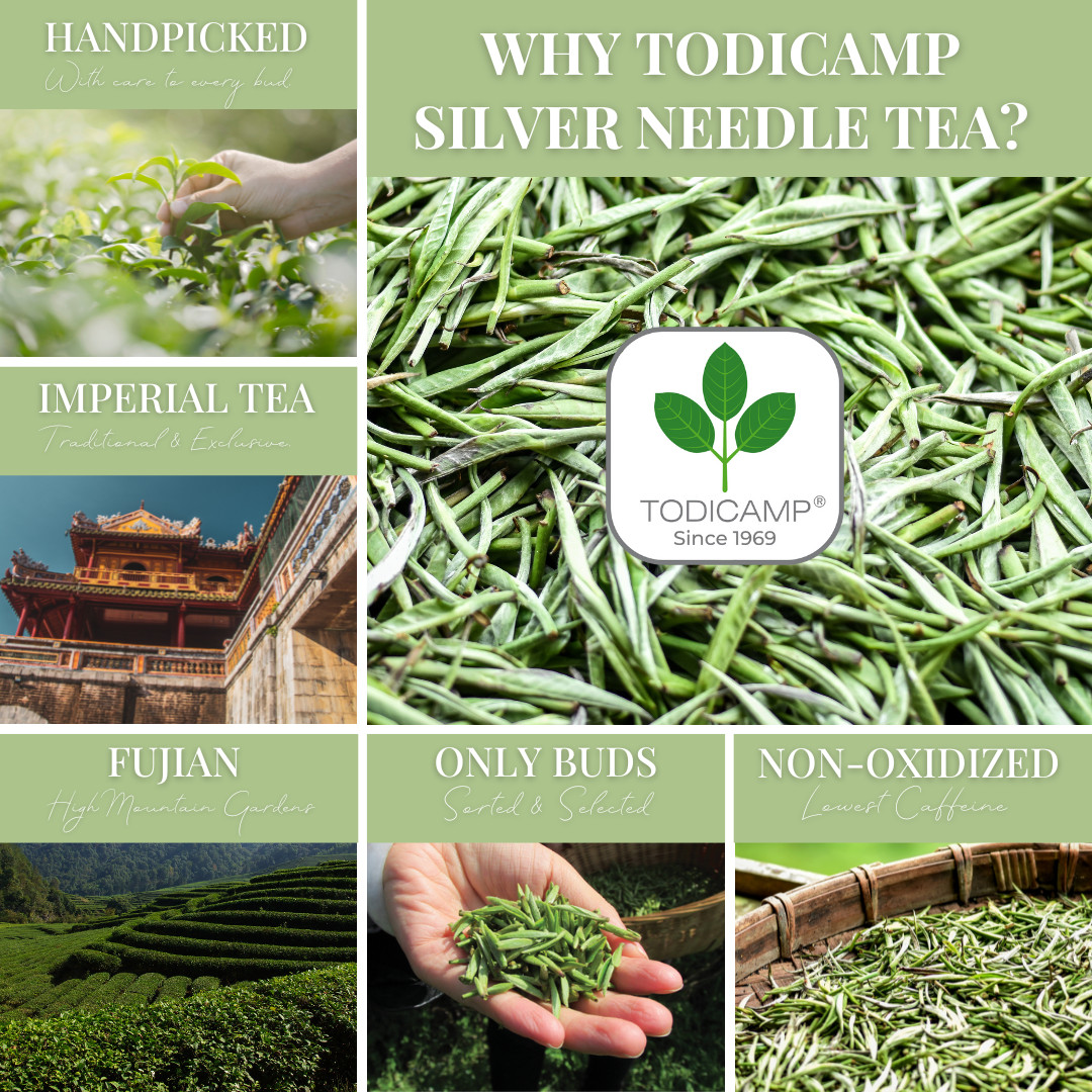 TODICAMP White Tea Organic Silver Needle Tea - 3 Oz gallery