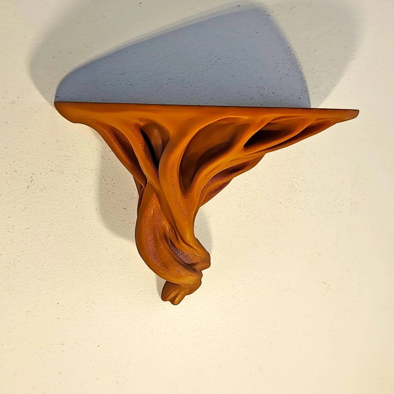 Tree Root Wall Shelf | Organic 3D Printed Floating Shelf | Boho Wall Decor gallery