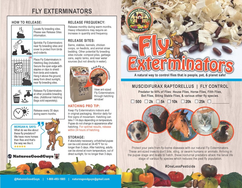 NaturesGoodGuys - Fly Exterminators gallery