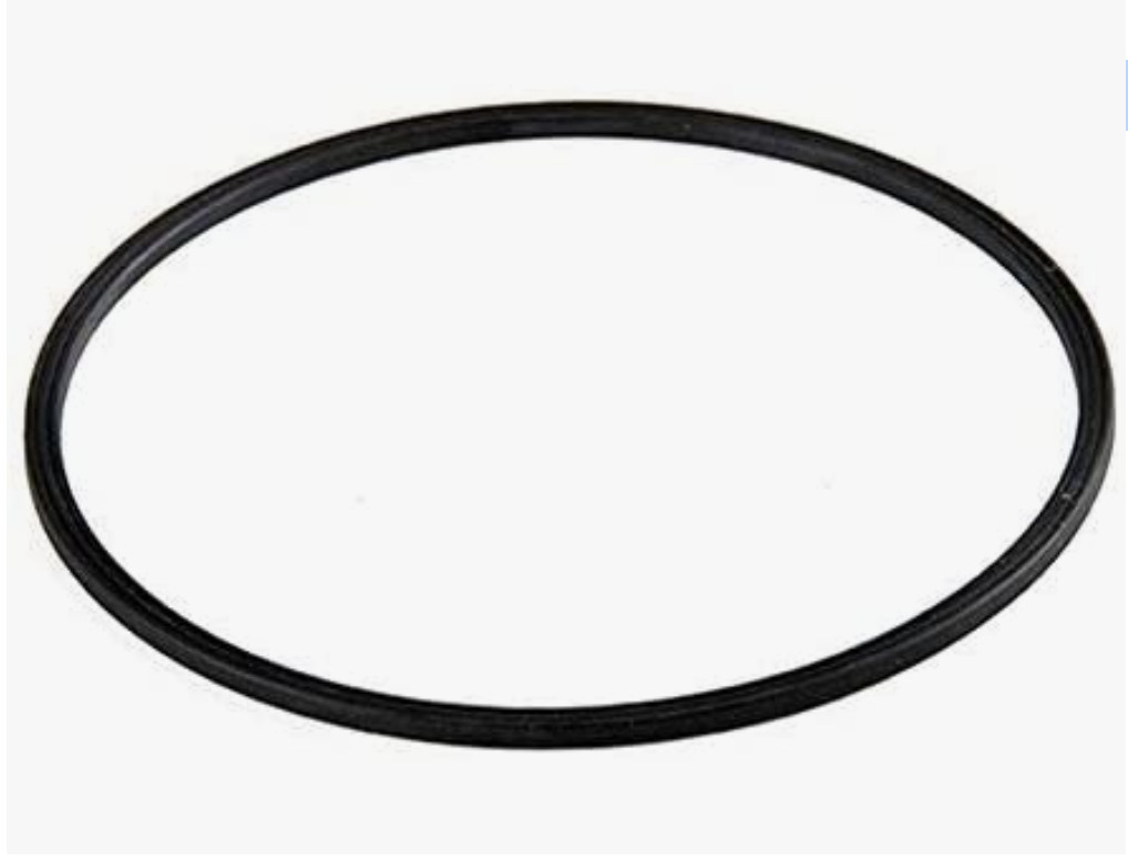 Replacement Summer Waves Motor Seal Gasket SFX600 & SFX1000 Pumps P58147800 gallery