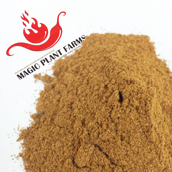 Orange Scotch Bonnet Powder | Scotch Bonnet Chili Pepper (5 size variations) gallery