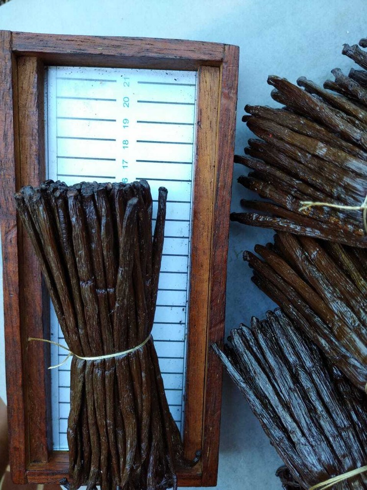 Vanilla Pods - Bourbon - from Madagascar