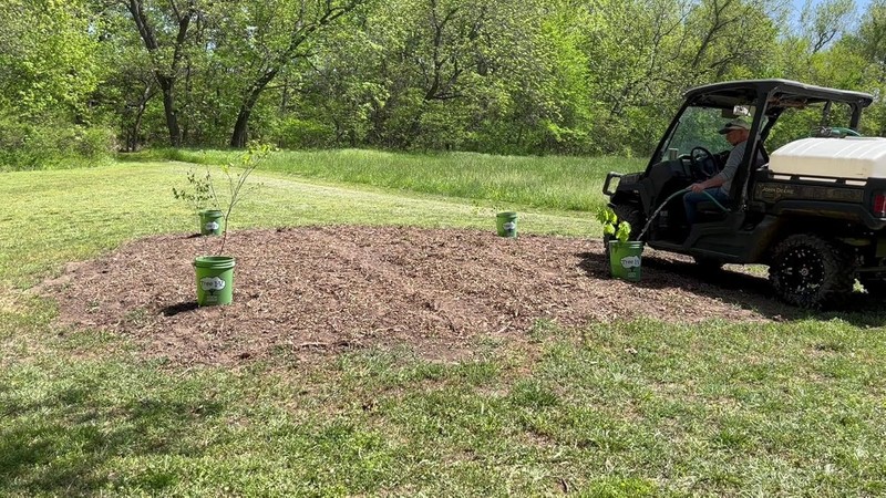 Time-Saving Tree I-V Root Feeder System | Efficient 5-Gallon Watering Solution gallery