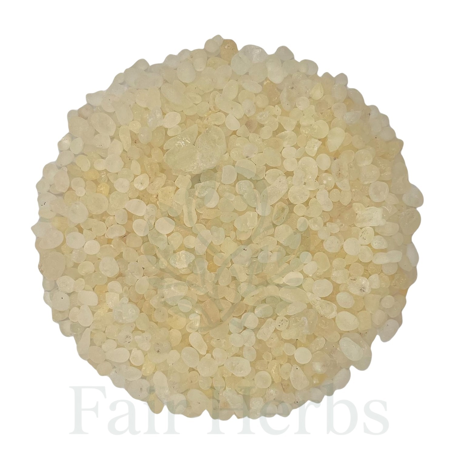 Chios Mastic Gum Resin | 100% Authentic Greek Mastiha | Rumi Mastagi gallery