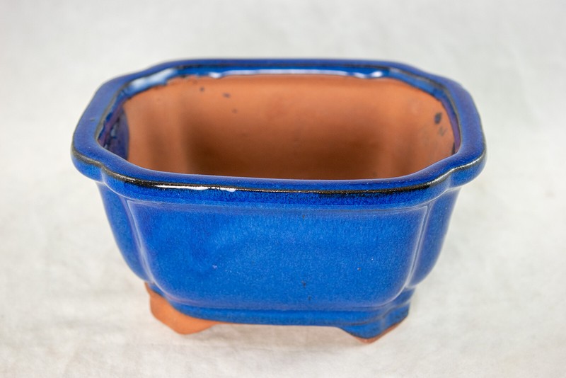 6" Rectangular Dark Blue Shohin Bonsai/Succulent Pot + Tray + Rock + Mesh Combo gallery