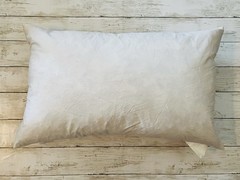 Feather Bed PILLOW 25″ x 16″ Insert