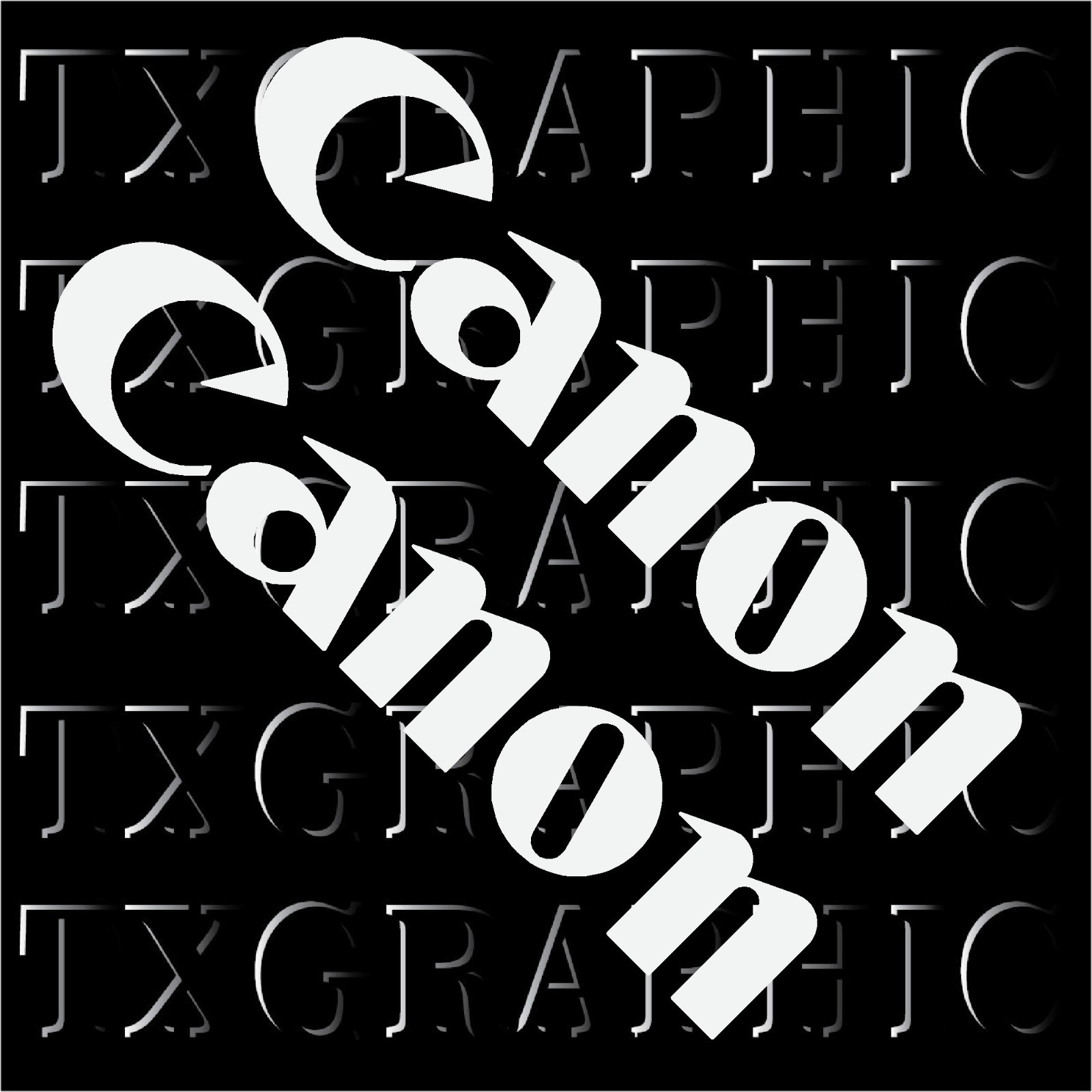 (PAIR) Canon Logo Decal Vinyl Sticker Camera Camcorder DSLR Printer Lens gallery