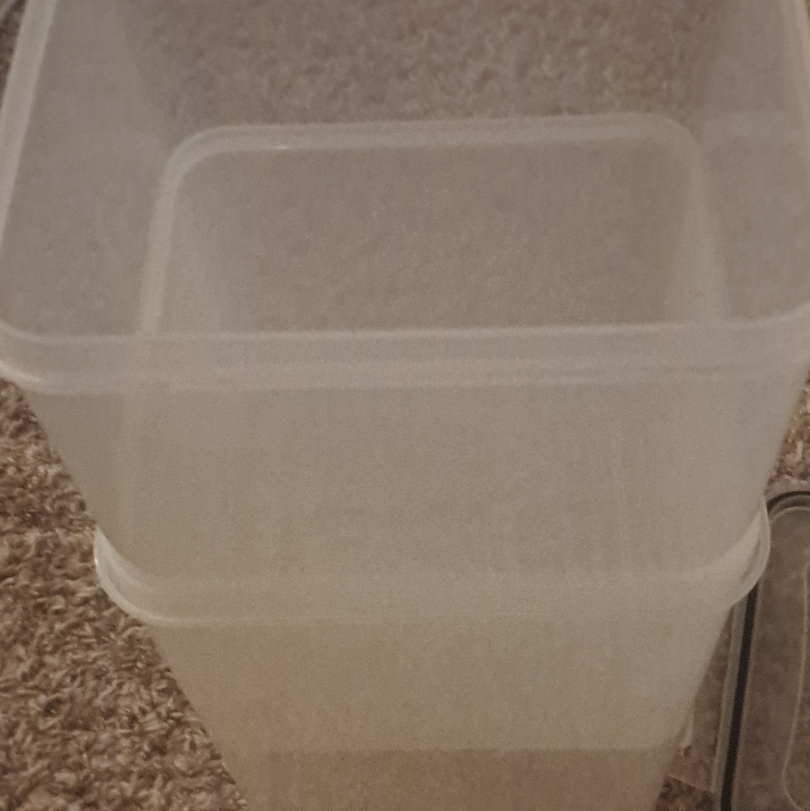 Clear Plastic Rectangular Storage Container Set, 2 Pack, Snap Lids, Stackable gallery