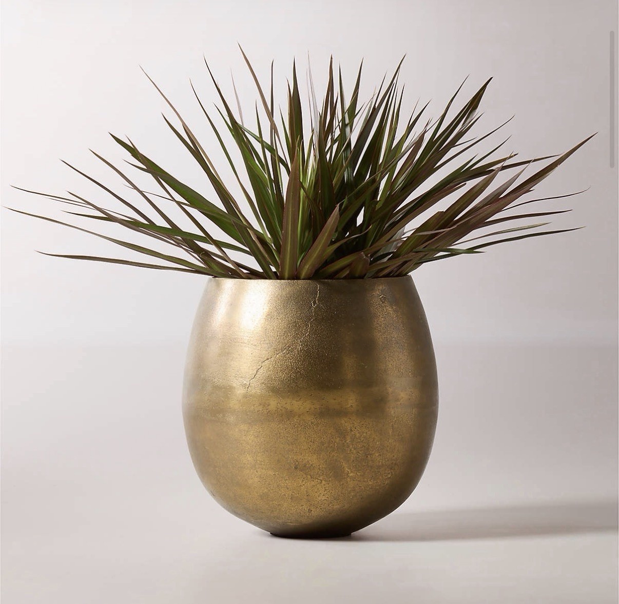 CB2 Rough Cast Brass Metal Indoor Planter Small. New Never Used! gallery