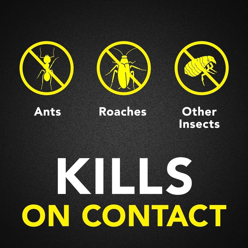 Raid® Ant & Roach Killer 26, Fragrance-Free Bug Spray, 17.5 fl. oz. 2 count. New gallery