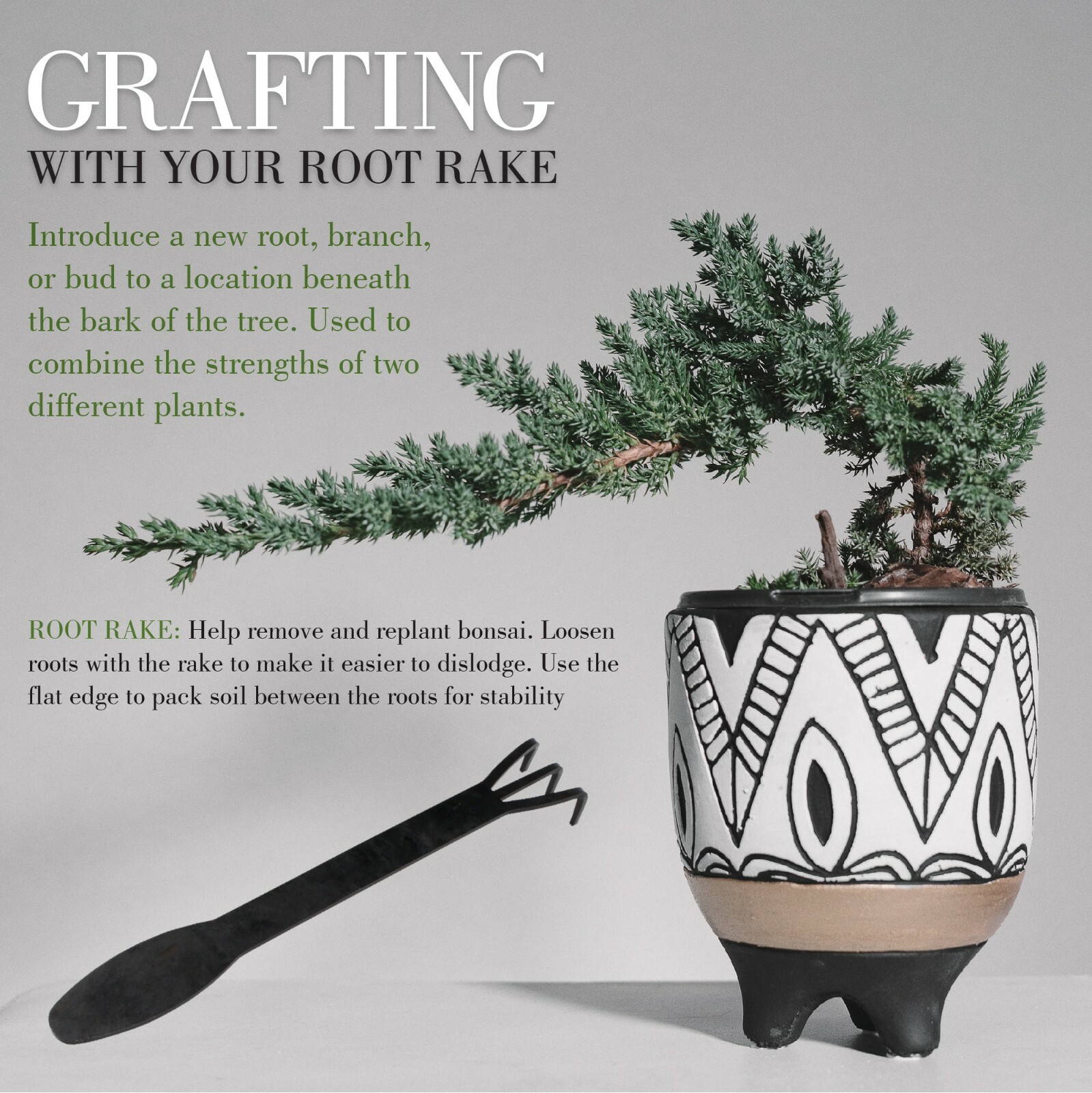 BambooMN Brand - 2 Piece Root Set - 9" Root Pick and 9" Root Rake gallery