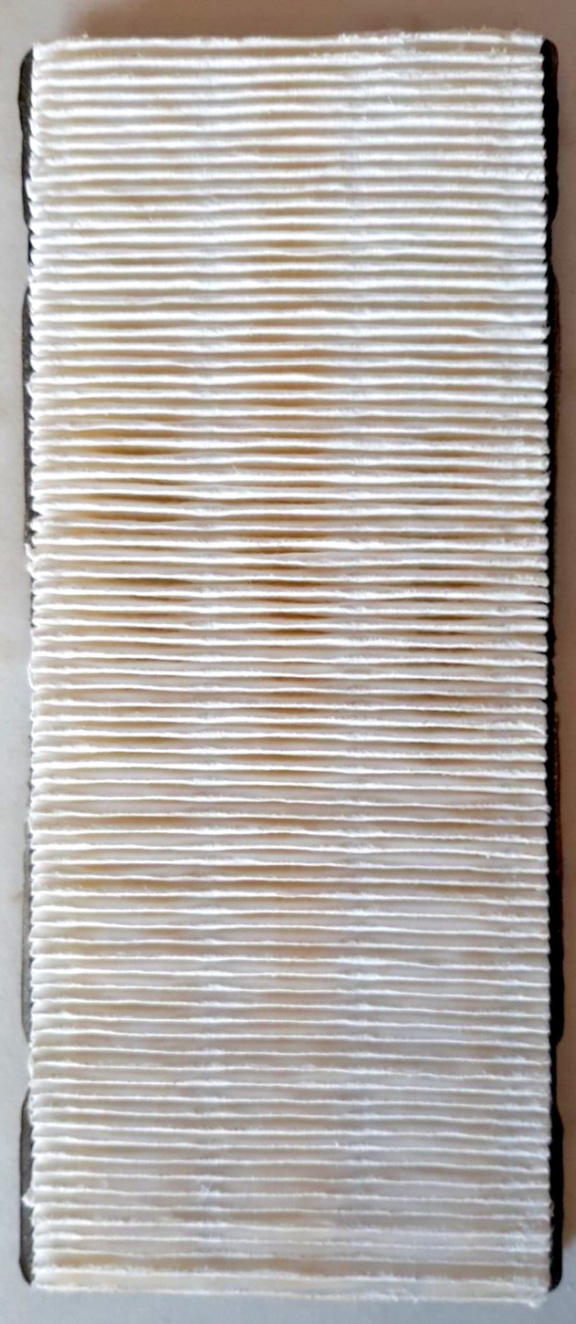 2 Hoover vacuum allergen primary filter 43613026 Genuine Factory Part 40110008 gallery