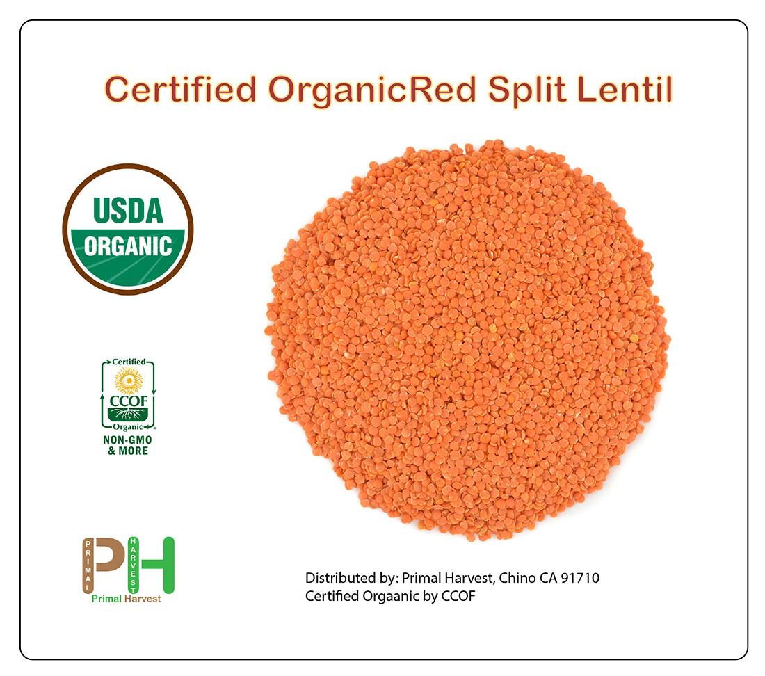 Organic Red Split Lentils aka Masoor Dal non-GMO Bulk rich in Iron and Protein gallery